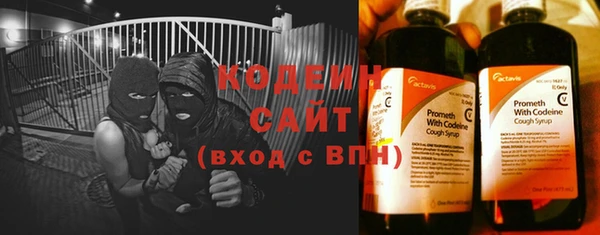 стаф Магас