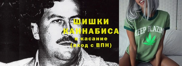 стаф Магас