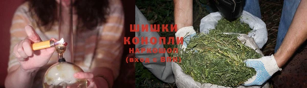 молекула духа Майский