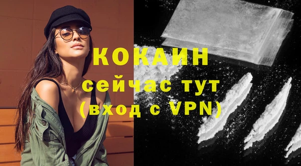 молекула духа Майский