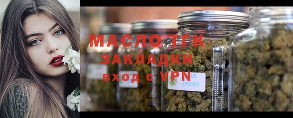 стаф Магас