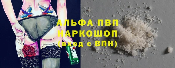 стаф Магас