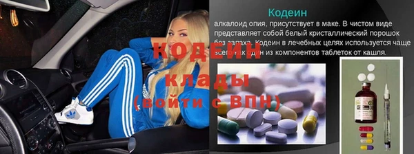 стаф Магас